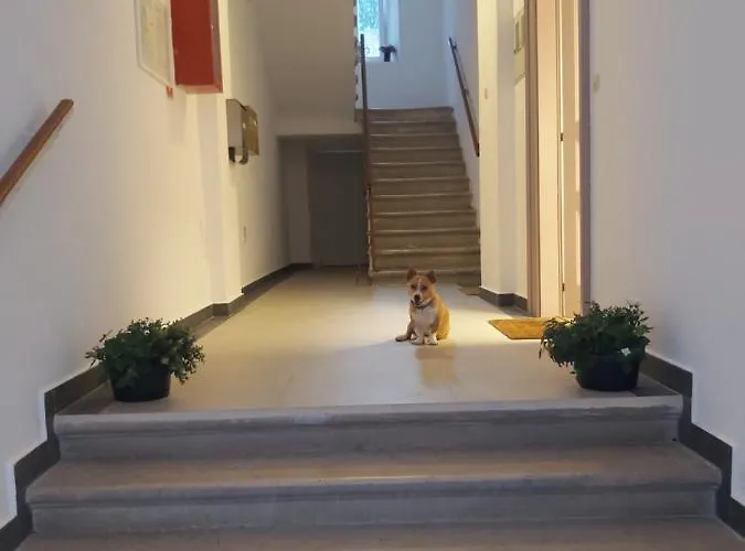 Draguc Διαμέρισμα Πούλα