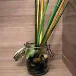 Draguc 풀라